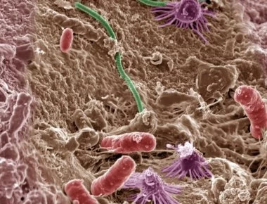 Αυτό το σημείο του αυτοκινήτου είναι πιο βρώμικο και από δημόσια τουαλέτα!